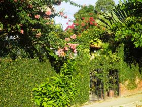 Garden gate on property in Lo De Marcos, Puerto Vallarta, Mexico – Best Places In The World To Retire – International Living